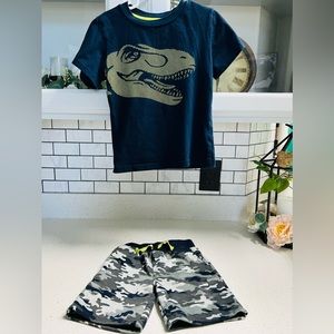 Toddler boy dinosaur matching set 4T